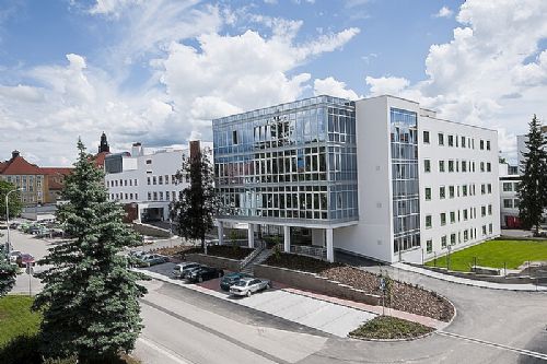 Mil videoklip Zdeka Troky pomh eskobudjovick nemocnici